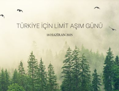 Son Ağacı Kesmeden Durmalıyız: Türkiye İçin Limit Aşım Günü