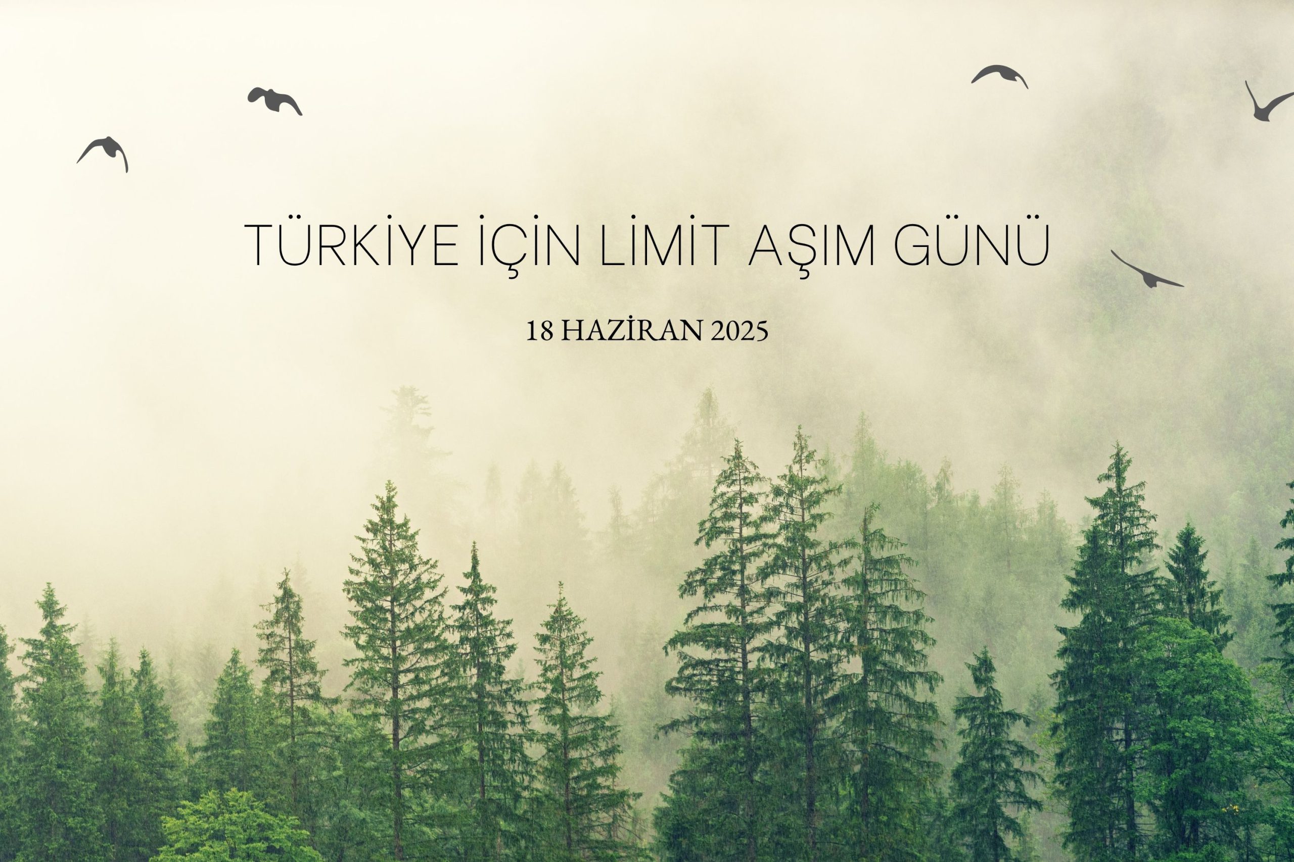 Son Ağacı Kesmeden Durmalıyız: Türkiye İçin Limit Aşım Günü